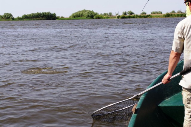 Река кигач астраханская область. Астрахань Кигач рыбалка. Река Кигач село Байбек. Рыбалка на реке Кигач.
